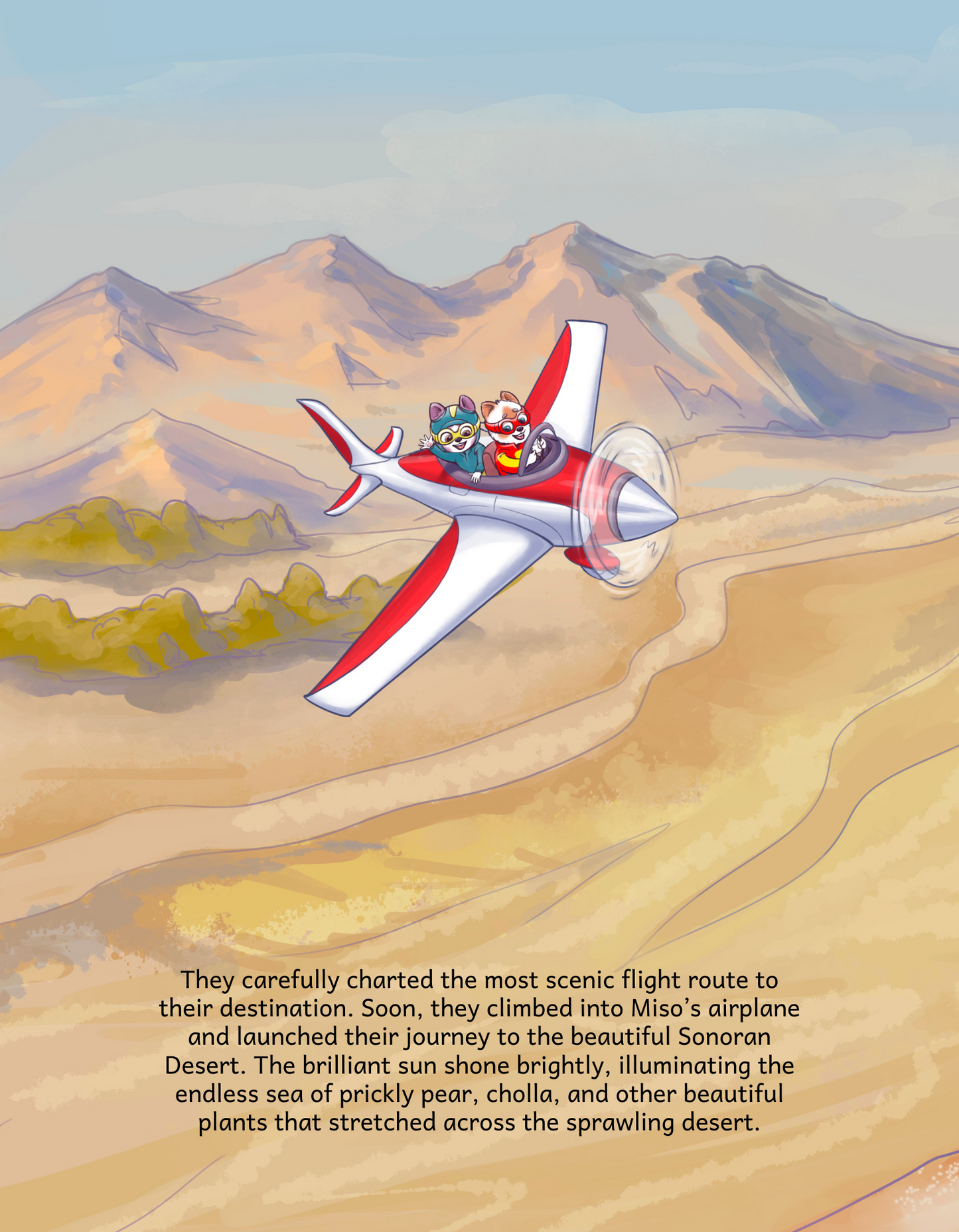 The Sonoran Desert Hardcover